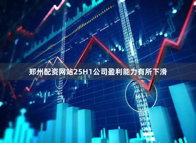 郑州配资网站25H1公司盈利能力有所下滑
